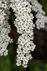 Similar image 21471535