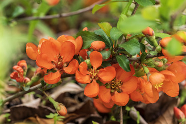 Similar image 21471537