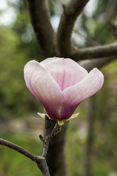 Similar image 21471539