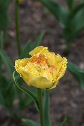 Similar image 21474758