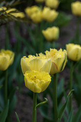 Similar image 21474759