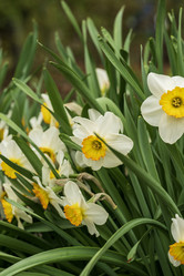 Similar image 21477535