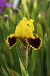 Similar image 21477256