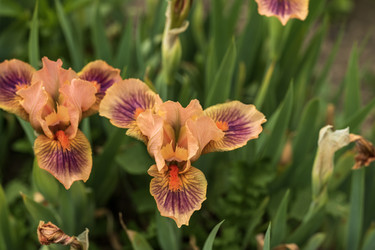 Similar image 21477257