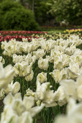 Similar image 21474762