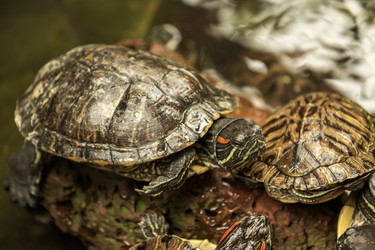 Similar image 21467259