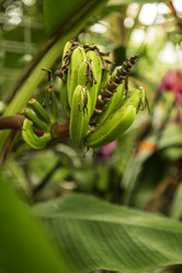 Similar image 21477538