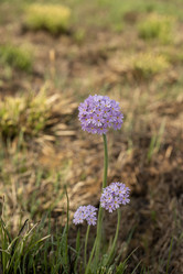 Similar image 21463066