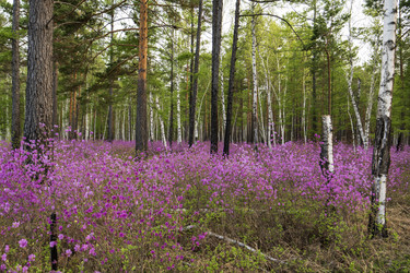 Similar image 21462388