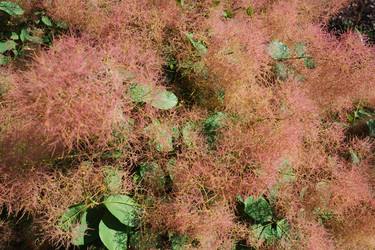 Similar image 21467260