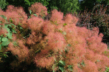 Similar image 21467262