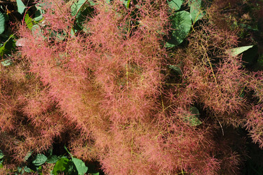 Similar image 21467263