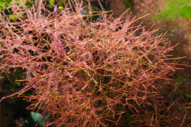 Similar image 21467265