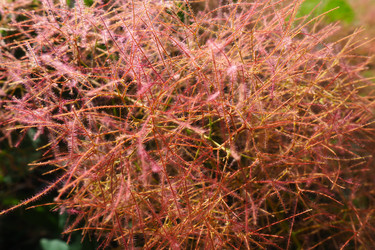 Similar image 21467267