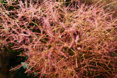 Similar image 21467268