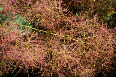 Similar image 21467270