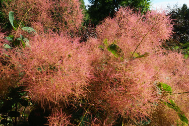 Similar image 21467271