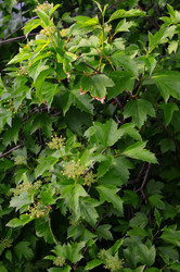 Similar image 21460187