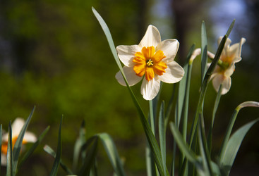 Similar image 21462390