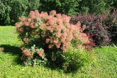 Similar image 21467273