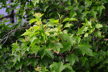 Similar image 21463012