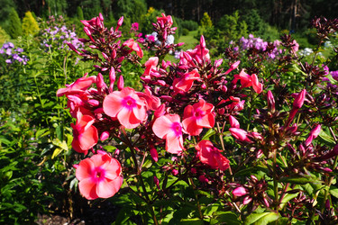 Similar image 21468636