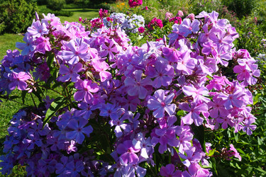 Similar image 21468638