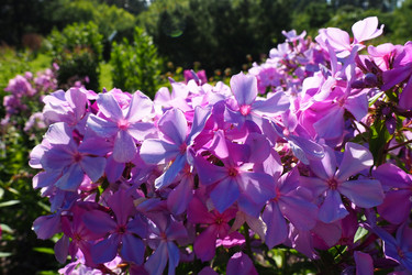 Similar image 21468639