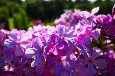 Similar image 21468641