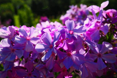 Similar image 21468642