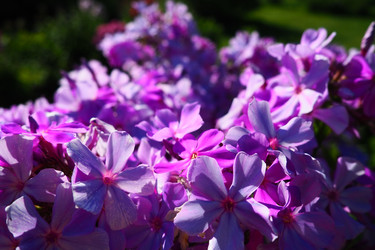 Similar image 21468643