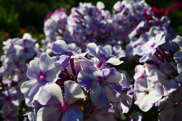 Similar image 21468644