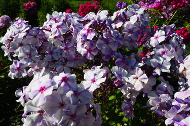 Similar image 21468645