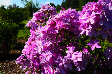 Similar image 21468646