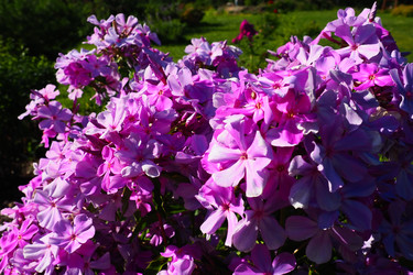 Similar image 21468647