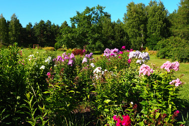 Similar image 21468648