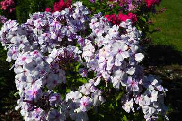 Similar image 21468649