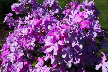 Similar image 21468650