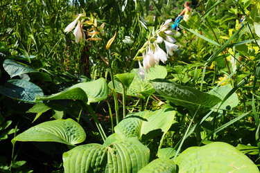 Similar image 21468652