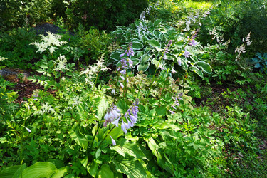 Similar image 21468653