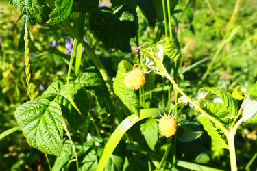 Similar image 21468656