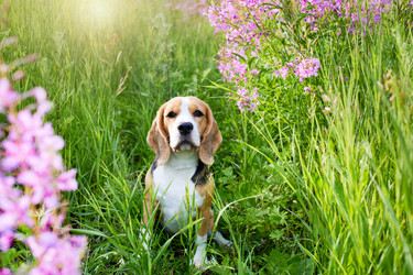 Similar image 21464952