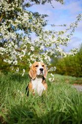 Similar image 21464954