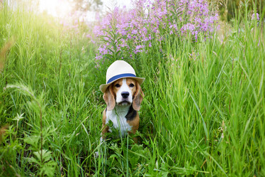 Similar image 21464955