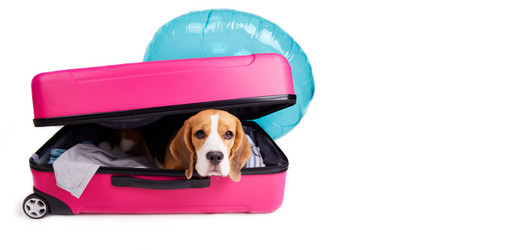 Similar image 21464967