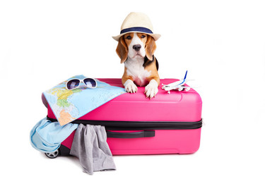 Similar image 21464968