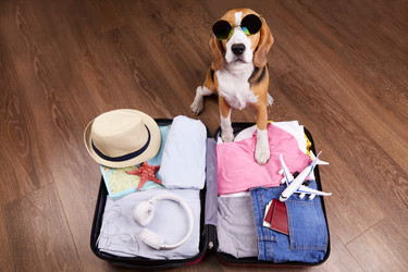 Similar image 21464974