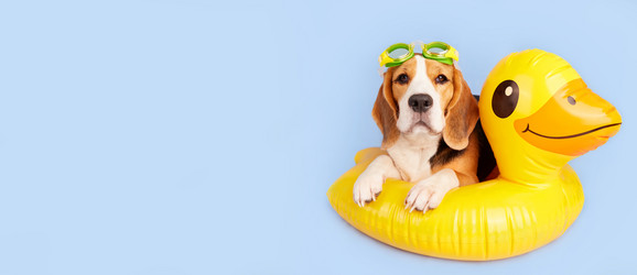 Similar image 21464975