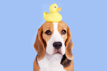 Similar image 21464976