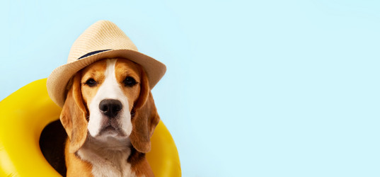 Similar image 21464981